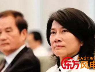 全球100位最佳CEO”——董明珠　職場(chǎng)女性的典范